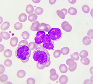 biofluidica-news-article
