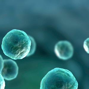 news-exosomes